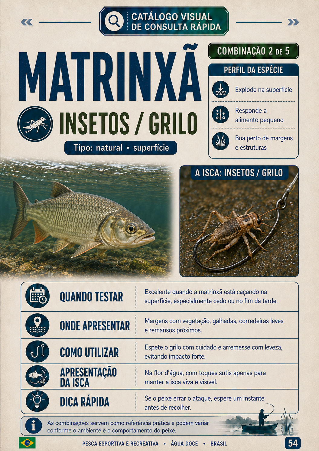 Matrinxã com insetos ou grilo